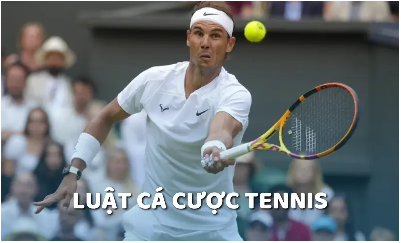 Lưu ngay luật đặt cược tennis cơ bản