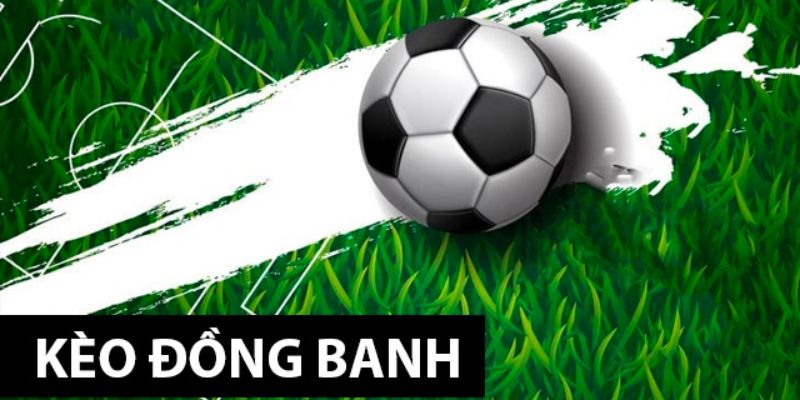 Kinh nghiệm soi kèo đồng banh là gì đỉnh cao nhất