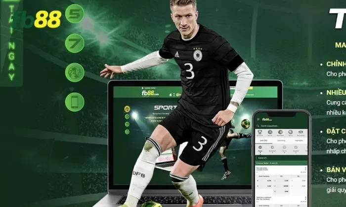 Siêu thưởng cược xâu FB88 Những điều cần biết về FB88 trước khi tham gia